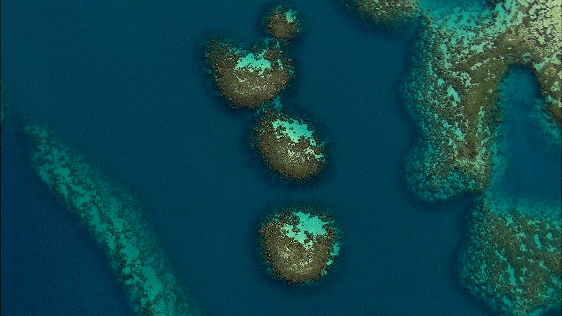 Aerial view of Manifa sea