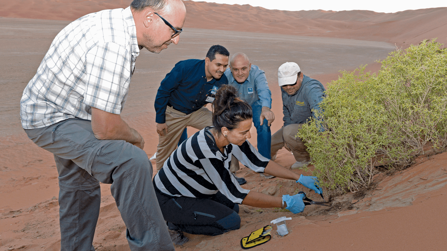 shaybah-research-project